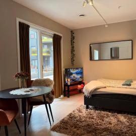 Cozy Central Apartment
