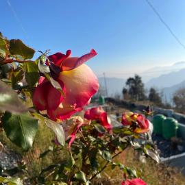 Stone Rose Vista, hotel v destinaci Kanatal