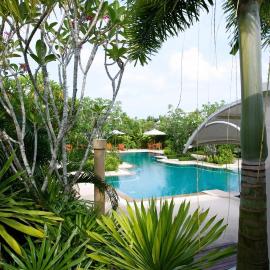 Tree Resort Palai v8