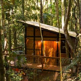 Tree House, hotel in Vítor Hugo