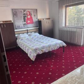 Vila cu trandafiri - Cozy Apartments Studio cu pat matrimonial, hotel in Bragadiru
