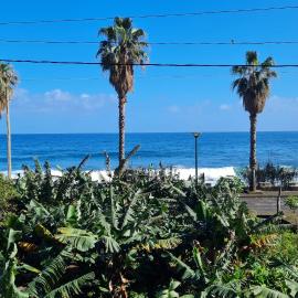 Casa Palmeiras, Seixal , Madeira