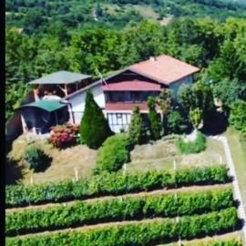 Apartment Noletov vidikovac