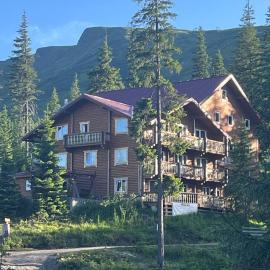 Alpin Eco Chalet & Wellness, hotel v destinaci Drahobrat