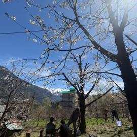 Raahi Roots, hotel in Bashist