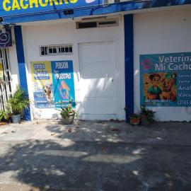 Rinconcito Veracruzano, hotel in Veracruz