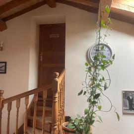 Chez Papi, hotel in Bazus