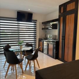 Loft with Private Terrace, Hotel in Tepic