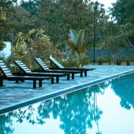vainika wild sigiriya, Hotel in Sigiriya