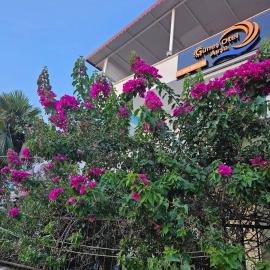 Avşa Güneş Otel, хотел в Мармара