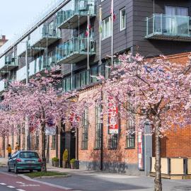 Kampen Hotell, готель в Осло