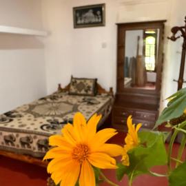 Beliya Rock View, Hotel in Dambulla