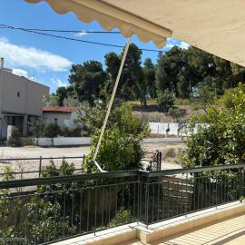 Δεσποτικό στη Παραλία Αυλίδος Despotiko in Paralia Avlidos