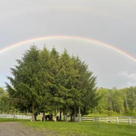 Punto Pino Farm Stay, hotel a Dover Plains