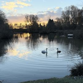 Fleece Lodge, hotell sihtkohas Bledington