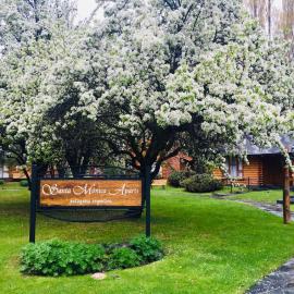 Santa Monica Aparts, hotel in El Calafate