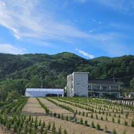 Gwangju Pension and Namhansanseong Art Hall, hotel in Gwangju