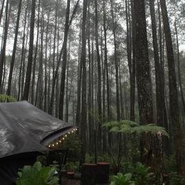 Lembah Pinus Cikole, hotel di Tangkubanperahu