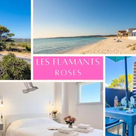Plage 200 m à pied Terrasse vue Salins Bus pour îles Hyères