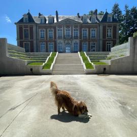 Chambres d'hôtes au chateau du Bosc Féré