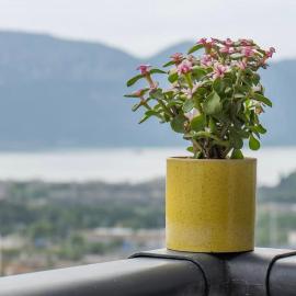 Kunming Lake View Homestay