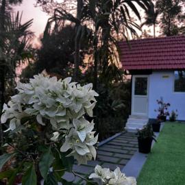 GreenSpun Nature stay, hotel in Somvārpet