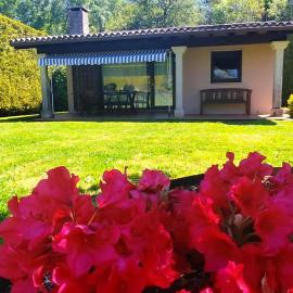 Finca O Loureiro