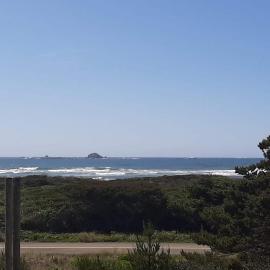 Coastal cottage with stunning ocean views & private gas grill - dogs welcome、ゴールドビーチのホテル