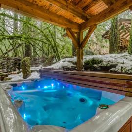 Luxe compound with private sauna hot tub rec house & fireplace, hotelli kohteessa Rhododendron