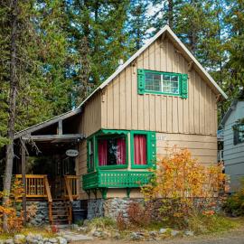 Cozy Mountain Cabin with Full Kitchen - Close to Town Skiing & Hiking Trails, Hotel in Government Camp