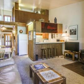 Ski-in-ski-out condo with pool hot tub sauna & breathtaking views - dog-friendly