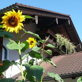Ferienwohnung Gouiaa