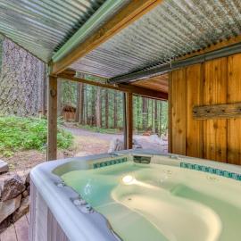 Mt Hood lodge in Forest Setting with Firepit & NEW Private Hot Tub, hôtel à Rhododendron