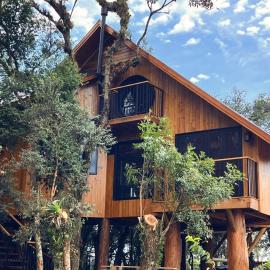Cabana Casa na Árvore Ninho dos Pássaros
