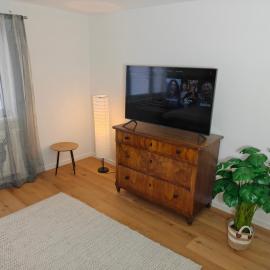Cozy Modern Apartment in Seelbach near Europa Park, hotel em Seelbach