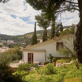 Cosy country house with treehouse in olive grove, hotelli kohteessa Tolo