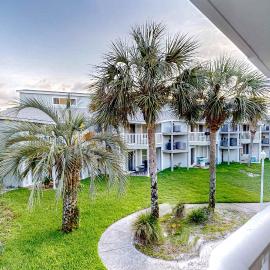 Sand Dollar E201