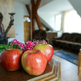 Aktywna Agroturystyka, hotel a Stare Jabłonki