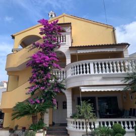 Apartments Visnja