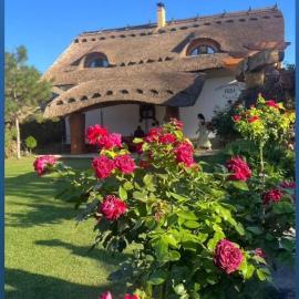 Pensiunea Casa Sobarului, hotel di Molovata