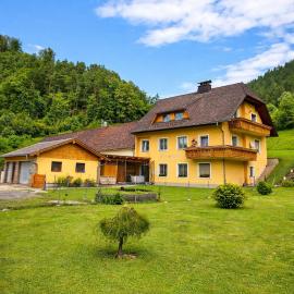 Apartment Gabraunerhof, hotel in Pernegg an der Mur