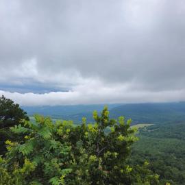 Mountain Retreat Near Grinder's Ferry With Complimentary Adventure Package Included- Happy Hawk โรงแรมในMarshall
