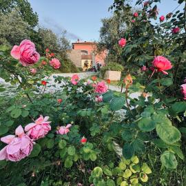 Agriturismo Belfiore