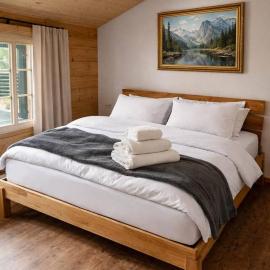 Ap1 20 min to Interlaken, hotel in Frutigen