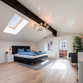 Large apt in town center next to Brunngasse & near lake