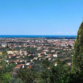 Belvedere 10