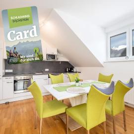 Peak Access Haus im Ennstal - by myNests