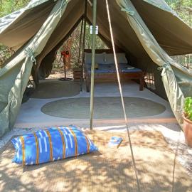 The Shamba, hotell sihtkohas Kilifi