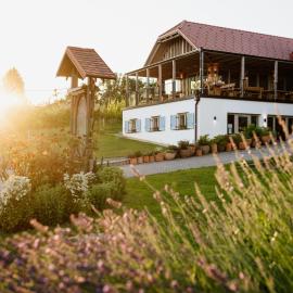 Puhan Wine Estate & Boutique Rooms, Hotel in Bogojina