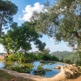 Beit Oren Hotel, hotel in Beit Oren
